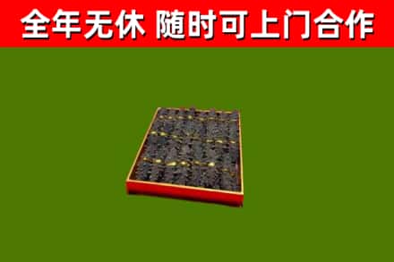 青山湖回收海参